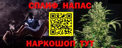 молекула духа Донской