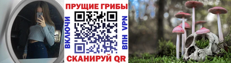 купить наркотики сайты  Моздок  mega ONION  Псилоцибиновые грибы прущие грибы 