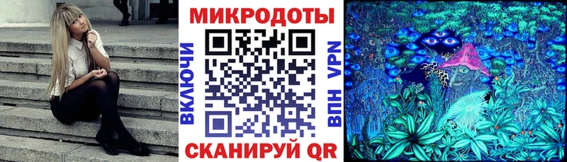 Псилоцибиновые грибы Cubensis Моздок