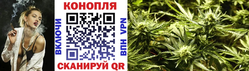 где найти наркотики Моздок Каннабис марихуана